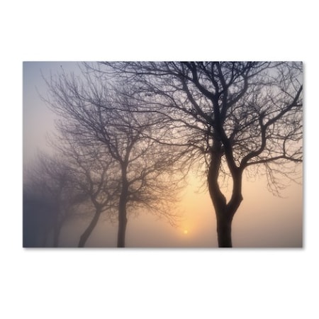 Cora Niele 'Hazy Sunrise With Tree Tree Silhouettes' Canvas Art,16x24